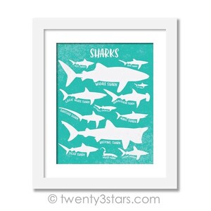 A framed poster with silhouettes of various shark species against a teal background, accompanied by the word "SHARKS" written in white text.