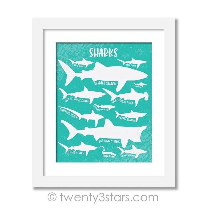 A framed poster with silhouettes of various shark species against a teal background, accompanied by the word "SHARKS" written in white text.