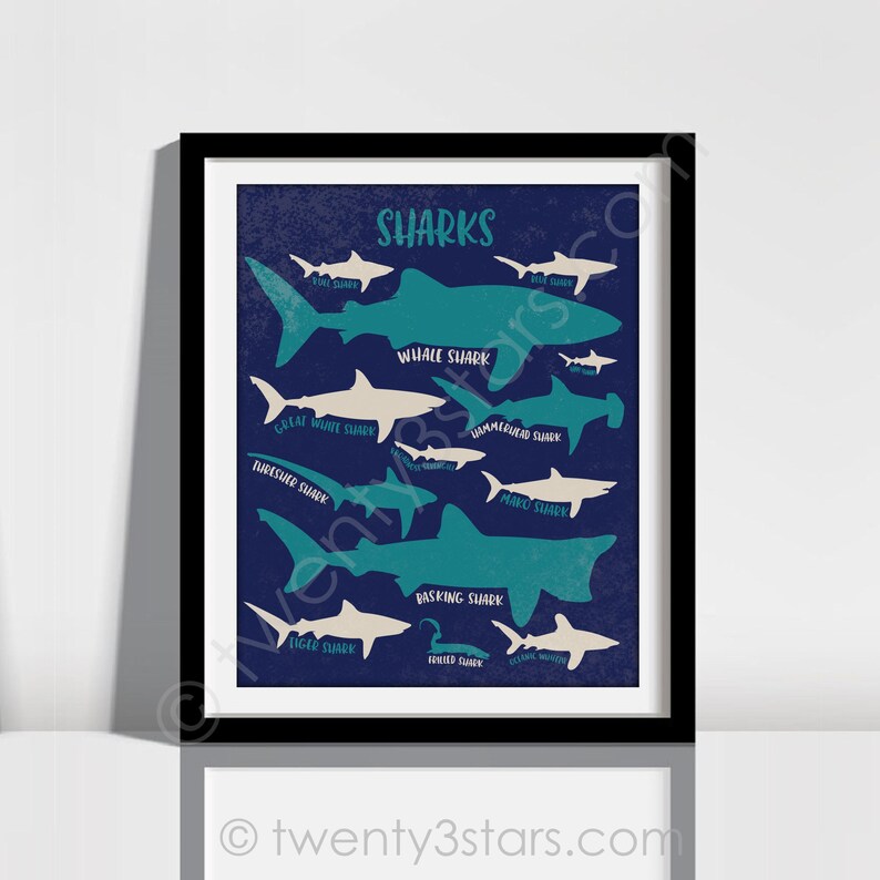The image is a framed poster featuring various shark silhouettes in different colors and sizes, along with the word "Sharks" written in a stylized font.