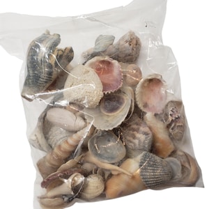Könnte beinhalten: Ein klarer Plastikbeutel gefüllt mit einer Auswahl an Muscheln. Die Muscheln variieren in Größe, Form und Farbe, darunter Weiß-, Beige-, Braun- und Rosatöne. Einige Muscheln haben strukturierte Oberflächen.