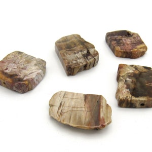 Petrified Wood Slab Pendant Beads Petrify Unusual Freeform Focal Slabs Drilled Stone Polished Natural Colors Jewelry Supply CrazyCoolStuff