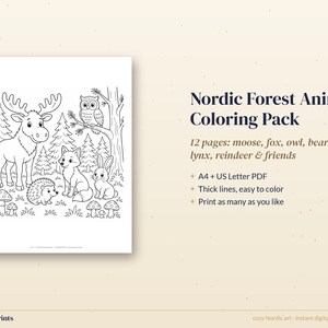 Woodland Animal Coloring Pages for Kids, 12 Printable Nordic Forest Coloring Sheets, Moose Fox Owl PDF image 3