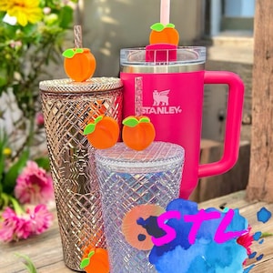 Starbucks Peach Cup - Etsy