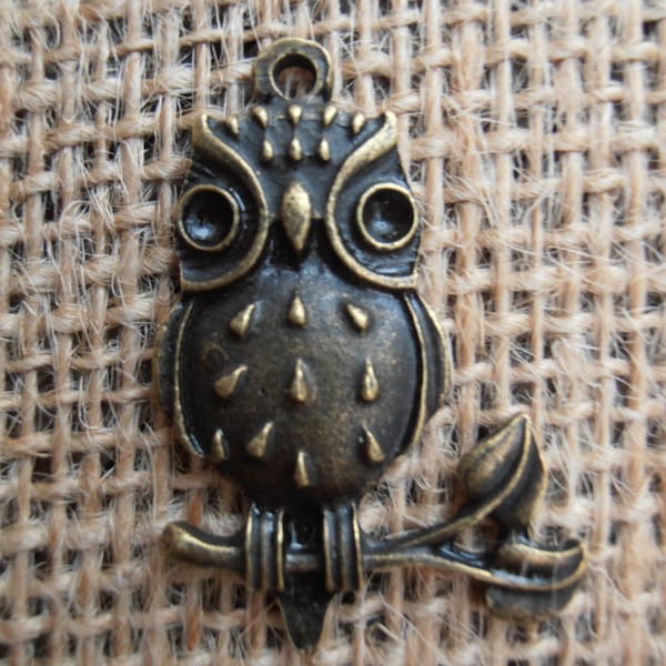 Owl on Branch - Set of 5 - Charm Findings