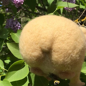 Needle felted guinea pig, Golden image 7