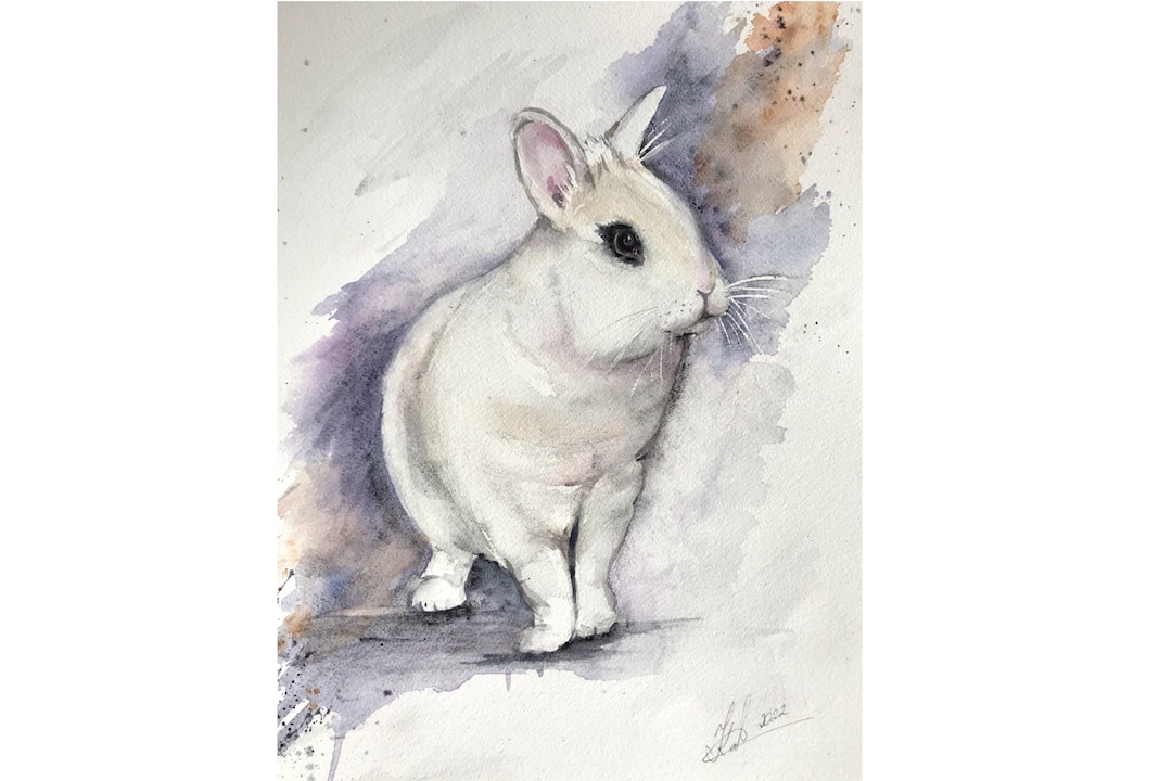 White Rabbit Original Watercolour Painting, White Bunny - Etsy
