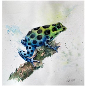 Poison Dart Frog Original Watercolour Painting, Frog Art,Tropical Animal Art