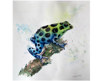 Poison Dart Frog Original Watercolour Painting, Frog Art,Tropical Animal Art