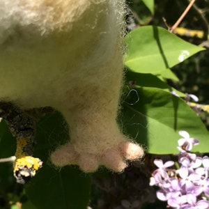 Needle felted guinea pig, Golden image 9