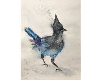 Steller’s Jay Original Watercolour Painting,Blue Bird,Bird Art