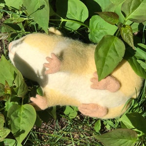 Needle felted guinea pig, Golden image 8