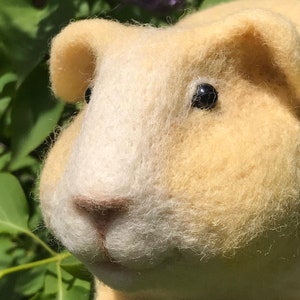 Needle felted guinea pig, Golden image 5