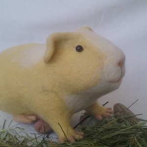 Needle felted guinea pig, Golden image 6