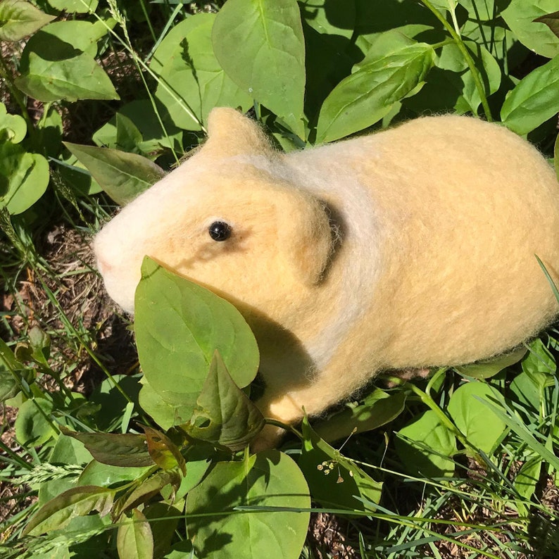 Needle felted guinea pig, Golden image 2