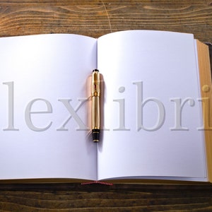 May include: An open, blank journal with a gold pen lying on the open pages. The journal has a brown leather cover with decorative metal accents.