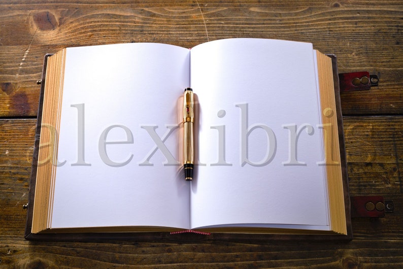 May include: An open, blank journal with a gold pen lying on the open pages. The journal has a brown leather cover with decorative metal accents.