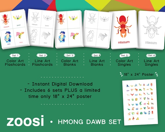 Hmong Printable Animal Flashcards Coloring Sheets 6 Sets Etsy