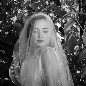 Simple Wedding Veil / Tulle Drop Veil / Cathedral Length / Ivory / Blush / Cut Edge