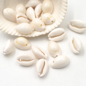 Peut inclure: Une collection de petits coquillages porcelaines blanc cassé, certains avec une teinte jaune, disposés sur une surface blanche et à l'intérieur d'un plus grand coquillage texturé. Les coquillages ont un aspect lisse et brillant.