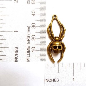 4 Antique Bronze Skull Spider Charms 20-A-14 image 2