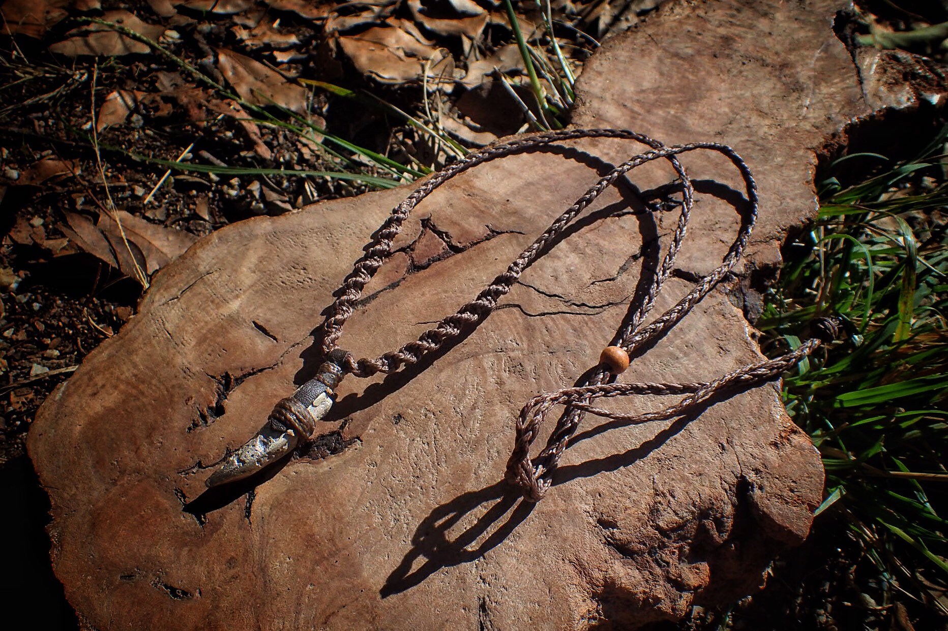 Silver Salt Water Crocodile Tooth / Croc Tooth Pendant ...
