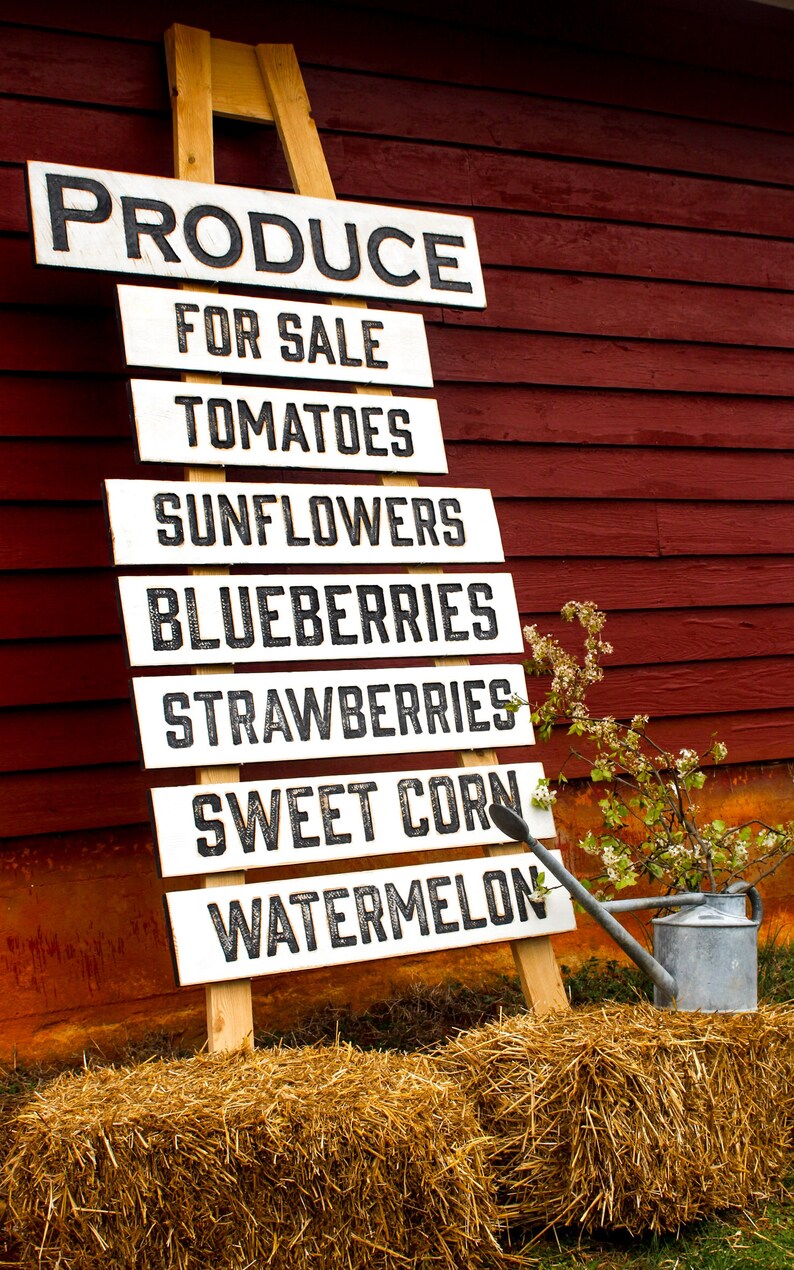 Blueberries Sign Carved in a 40x8 Solid Wood Board Rustic Etsy