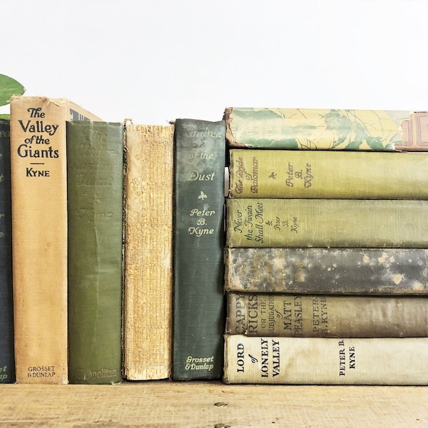 Decorative Book Stack Etsy
