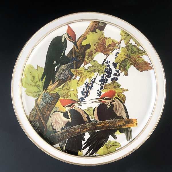 VTG 13-1/2" Sunshine Biscuits Canister Audubon's America Series Birds of America John James Audubon Carolina Parakeet & Pileated Woodpecker