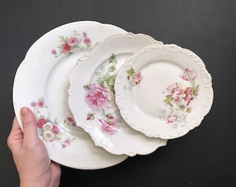 Lot de 3 assiettes murales décoratives victoriennes vintage en porcelaine antique avec motifs floraux peints à la main - Allemagne