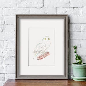 Wizard&#39;s Owl, Watercolor Print, 5&quot;x7&quot; (with Matting Options) or 8&quot;x10&quot;