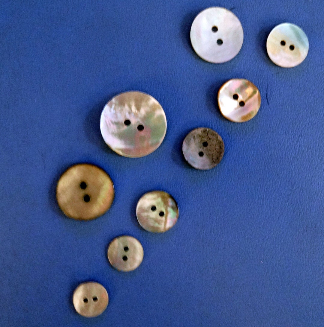 Vintage Shell Buttons, Graduated Sizes, Set of 9 - Etsy