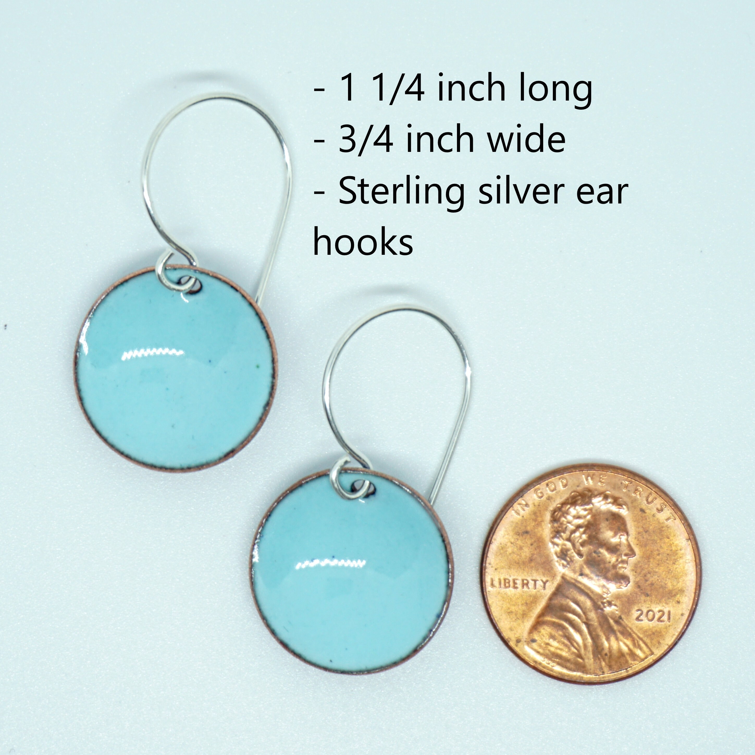 Robin's Egg Earrings