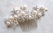 Starfish Bridal Hair Comb. Starfish hair Accessories. Bridal Decorative Combs. Beach Wedding. Crystal hair comb. Wedding Hair accessories. 