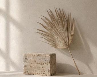 Travertine and Palm iPhone Wallpaper | Neutral Aesthetic Lock Screen | Digital Download