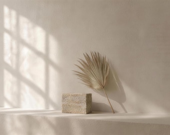 Frame TV Art | Travertine and Palm Still Life | Neutral 4K Digital Download