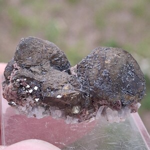 May include: A raw mineral specimen featuring two prominent, dark, rounded, metallic-looking crystal clusters attached to a base of smaller, white, translucent, needle-like crystals and reddish-brown mineral deposits on a clear square display stand.