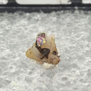 May include: A small mineral specimen with a rough, uneven texture. The stone displays a beige base with areas of iridescent, rainbow hues. The shape is irregular, with small white and dark brown inclusions. The specimen is approximately 1 cm in size.