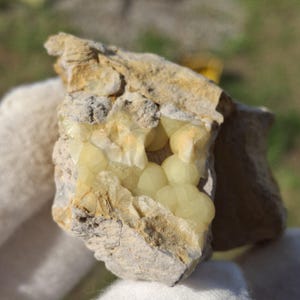 Pode incluir: Um espécime mineral bruto apresentando um aglomerado de formações cristalinas esféricas de cor amarelo-pálido incrustadas numa matriz rochosa rugosa de cor bege. A estrutura cristalina exibe uma textura lisa e arredondada com subtis reflexos translúcidos.