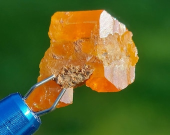 Red Cloud Mine Wulfenite Crystal Specimen, Arizona Minerals