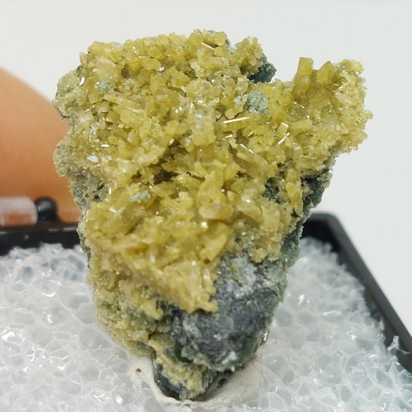 Klinozoisit Maryland, Maryland Mineralien, Klinozoisit Probe, Klinozoisit Kristalle, Hunting Hill Steinbruch, Seltene Mineralien, USA Mineralien