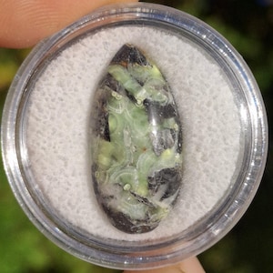May include: A polished, oval-shaped gemstone with a mix of green, black, and white patterns. The stone is encased in a clear, round plastic container with a white, textured backing. The gemstone's surface has a swirling, organic design.