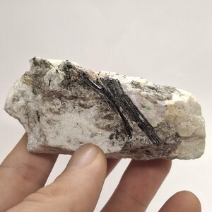 Puede incluir: Una mano sosteniendo un espécimen mineral en bruto. La piedra es principalmente blanca con inclusiones negras en forma de aguja y algunas áreas de color marrón y gris. El mineral tiene una superficie rugosa y texturizada.