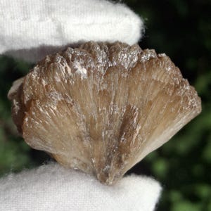 Golden Brown Stilbite Cluster: New Jersey Minerals, Prospect Park Quarry