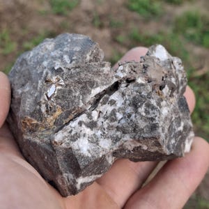 Peut inclure: Un spécimen de roche brut et irrégulier présentant une matrice texturée gris foncé parsemée de dépôts minéraux cristallins blancs et un cristal translucide, pointu et proéminent incrusté à la surface de la pierre.