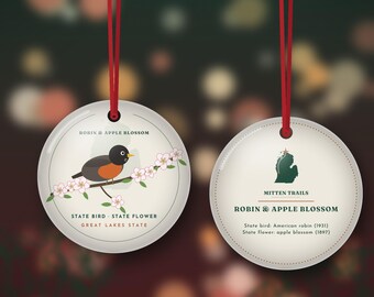 Michigan Robin and Apple Blossom Christmas Ornament, State Bird and State Flower Gift, Double Sided Metal Ornament