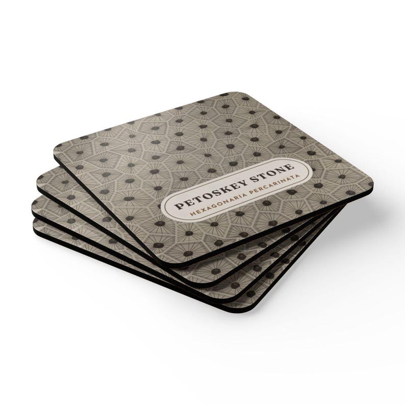 Petoskey Stone Coaster Set of 4, Four Identical Fossil Coral Pattern Coasters, Michigan State Stone Gift, High-Gloss MDF Top with Cork Back image 2