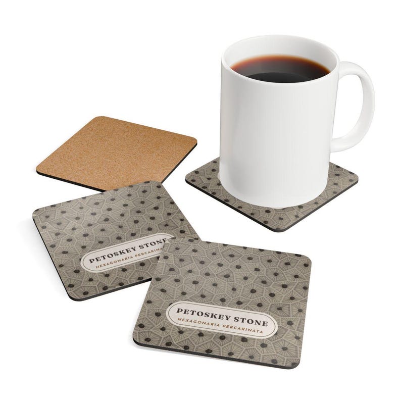Petoskey Stone Coaster Set of 4, Four Identical Fossil Coral Pattern Coasters, Michigan State Stone Gift, High-Gloss MDF Top with Cork Back image 4