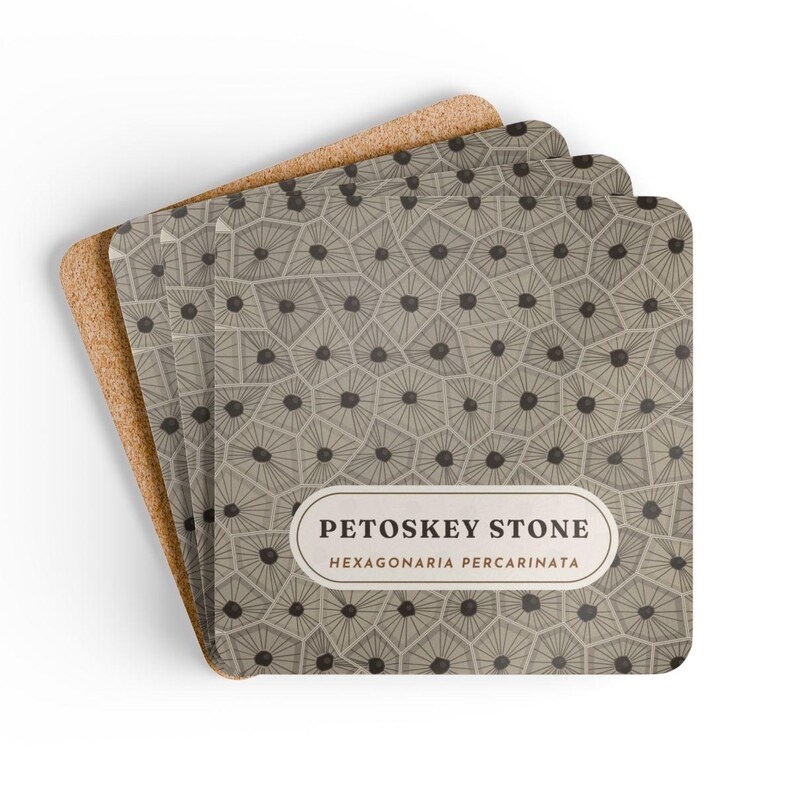 Petoskey Stone Coaster Set of 4, Four Identical Fossil Coral Pattern Coasters, Michigan State Stone Gift, High-Gloss MDF Top with Cork Back image 6