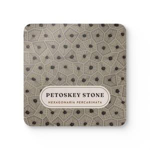 Petoskey Stone Coaster Set of 4, Four Identical Fossil Coral Pattern Coasters, Michigan State Stone Gift, High-Gloss MDF Top with Cork Back