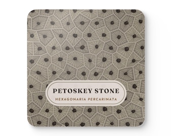 Petoskey Stone Coaster Set of 4, Four Identical Fossil Coral Pattern Coasters, Michigan State Stone Gift, High-Gloss MDF Top with Cork Back